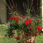 Au Coeur Du Pays Cathare Dom wakacyjny Fanjeaux